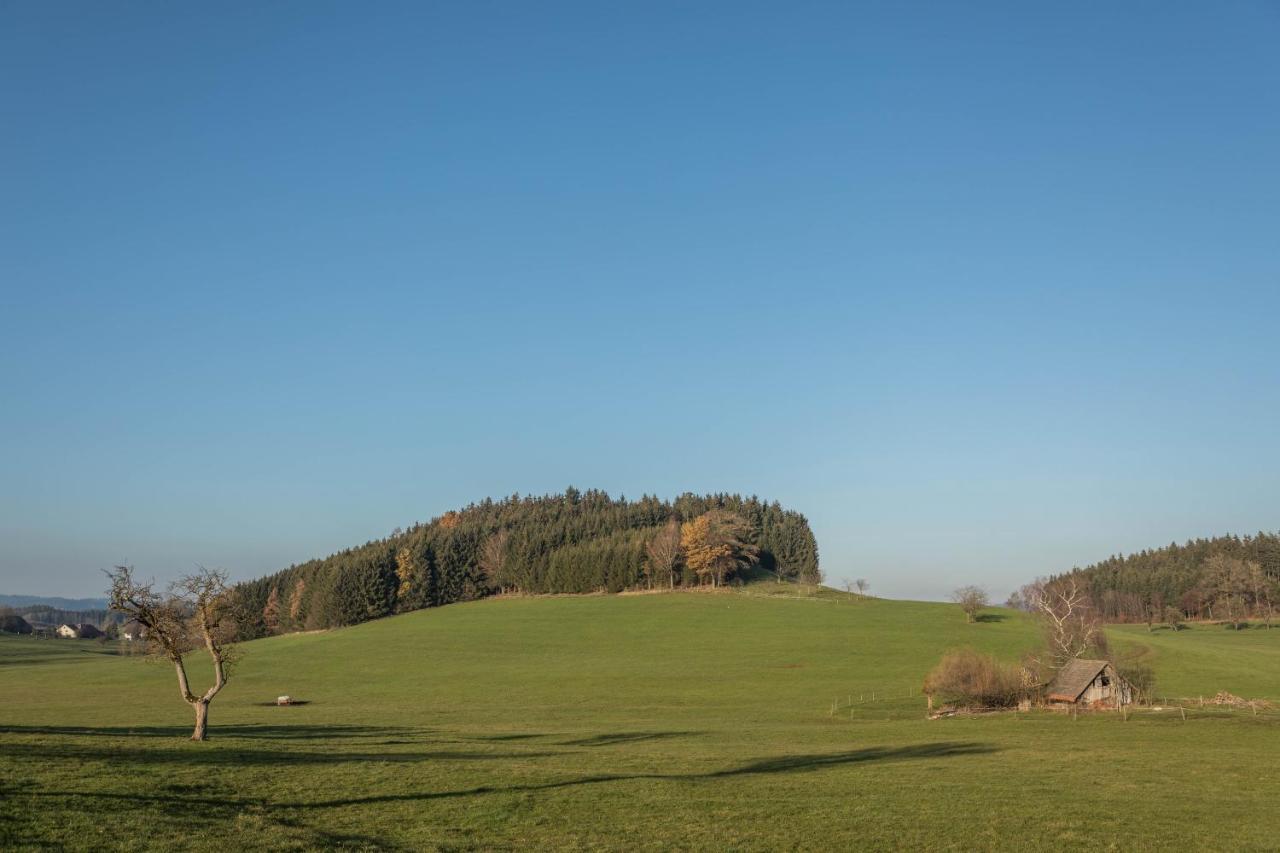 Ferienhof Sauter Friedrichshafen Neukirch (Tubingen) Exterior foto